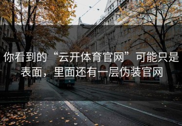 你看到的“云开体育官网”可能只是表面，里面还有一层伪装官网