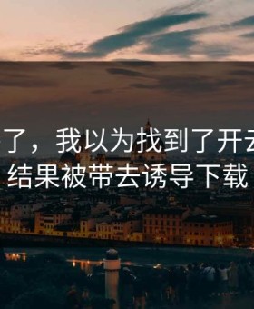 我后悔了，我以为找到了开云官网，结果被带去诱导下载