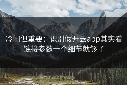 冷门但重要：识别假开云app其实看链接参数一个细节就够了