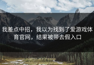 我差点中招，我以为找到了爱游戏体育官网，结果被带去假入口