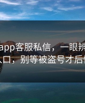 华体会app客服私信，一眼辨别真假入口，别等被盗号才后悔