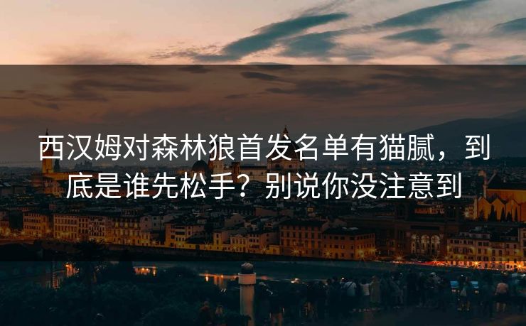 西汉姆对森林狼首发名单有猫腻，到底是谁先松手？别说你没注意到