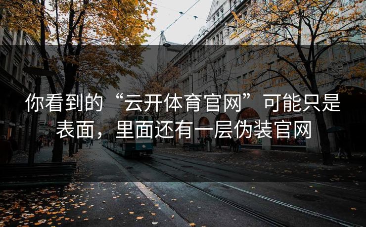 你看到的“云开体育官网”可能只是表面，里面还有一层伪装官网